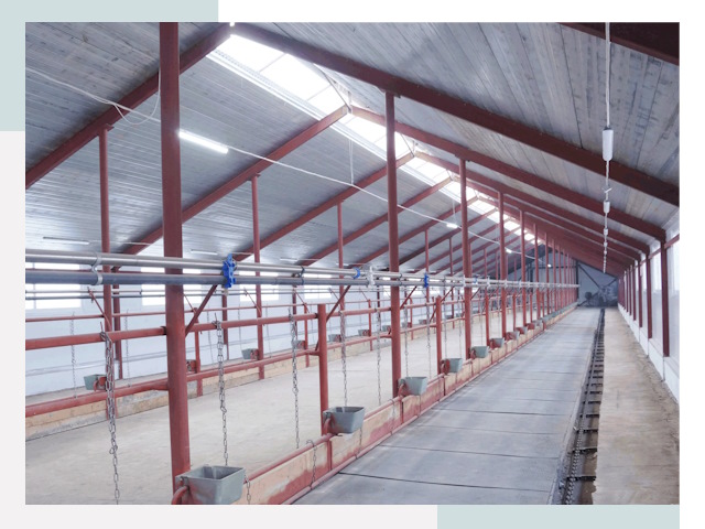 Строительство коровников в Красном Сулине от 612 руб.