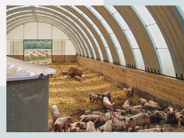 Строительство свинарников в Красном Сулине