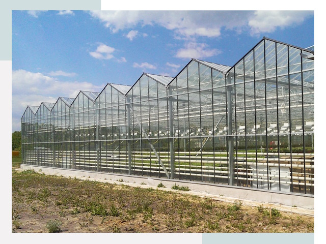 Строительство теплиц в Красный Сулин от 612 руб. за м²